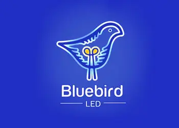 blue-bird