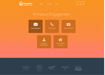 wordpress_development_37